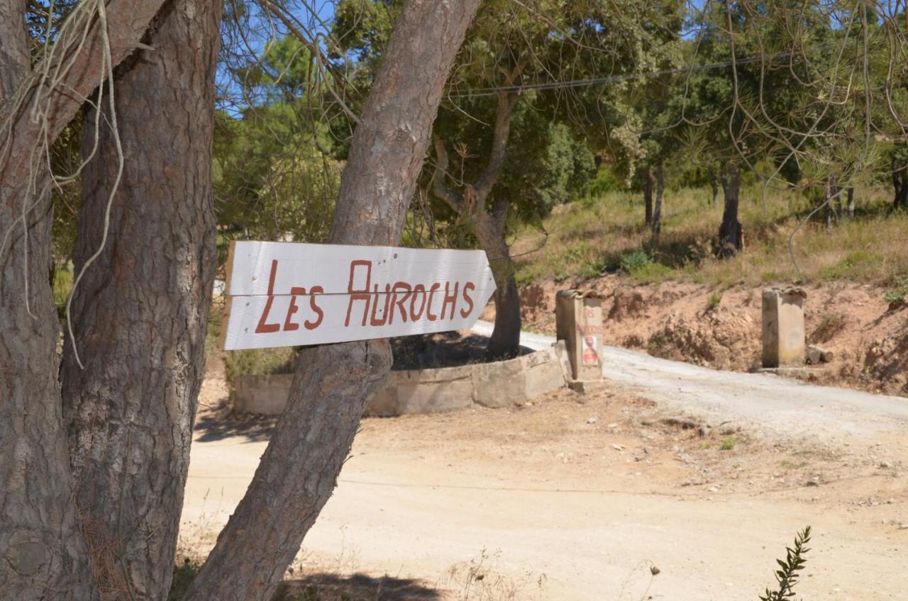 Les Aurochs Grimaud Exterior foto