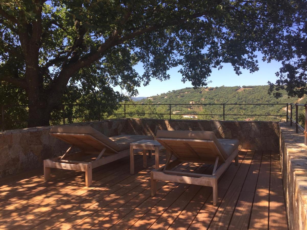 Les Aurochs Grimaud Exterior foto