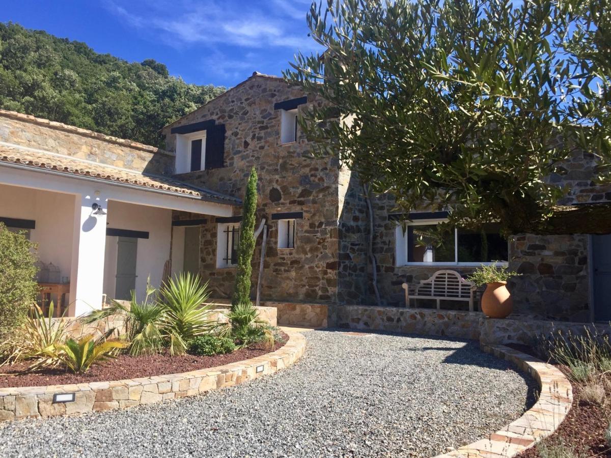 Les Aurochs Grimaud Exterior foto