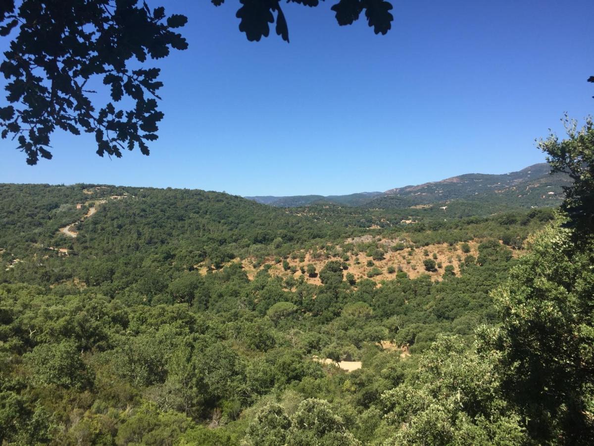 Les Aurochs Grimaud Exterior foto