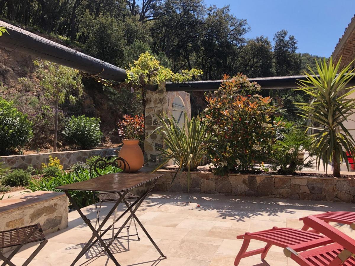 Les Aurochs Grimaud Exterior foto